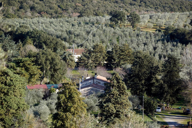 Others 5, Molino Della Volta, Grosseto