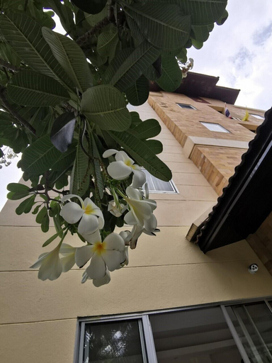 Exterior & Views 2, Suklutai Hotel & Serviced Apartment, Bang Khla