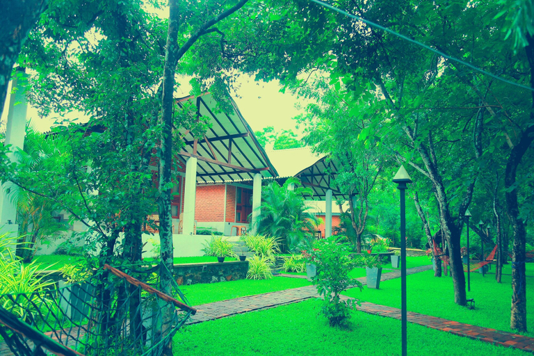 Others 5, Hotel Viverra, Hingurakgoda