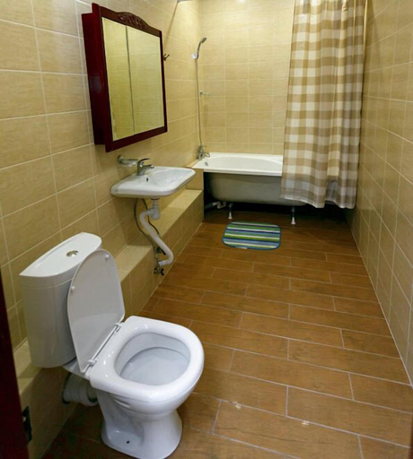 Bathroom 3, Dasn Hall Domodedovo, Domodedovskiy rayon