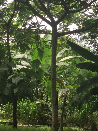 Others 5, Amadi Villa, Orlu