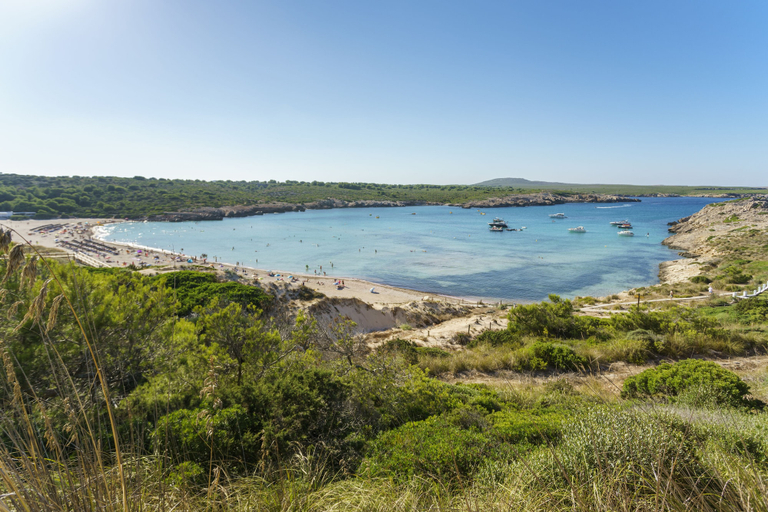 Others 5, Apartamentos Posidonia, Baleares