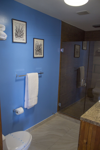 Bathroom 3, Hotel Festival Plaza Playas Rosarito, Tijuana