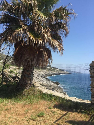 Others 5, Villa Il Trullo, Lecce