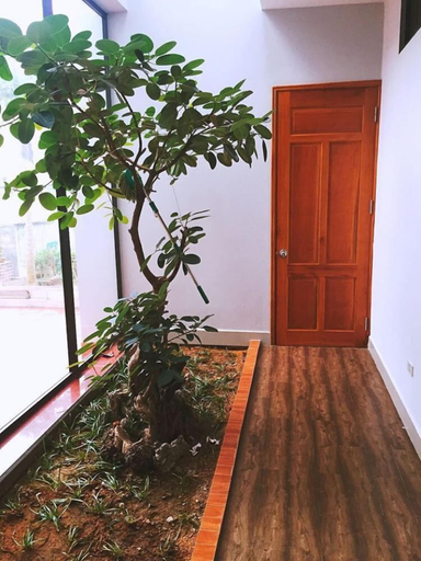 Others 4, D'Home Homestay Cat Ba, Cát Hải