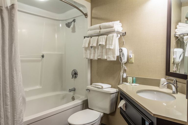 Bathroom 4, Clarion Inn Cranberry Township, Allegheny