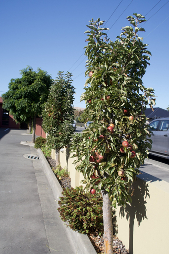 Others 5, Blenheim Spa Motor Lodge, Marlborough
