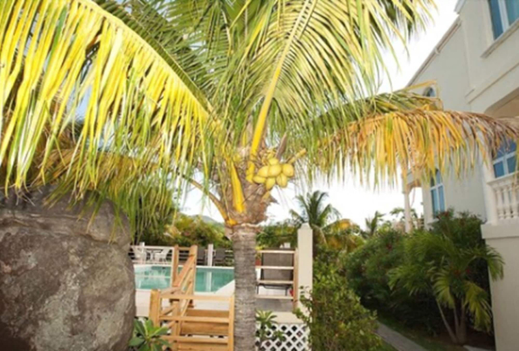 Others 4, Coconut Tree Villa