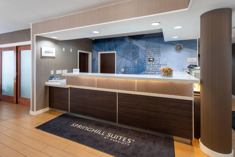Bathroom 4, SpringHill Suites by Marriott Rochester-Mayo Clinic/St Marys, Olmsted