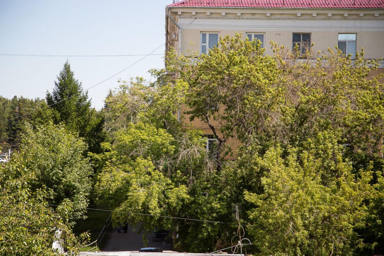 Exterior & Views, Golden lion, Omskiy rayon