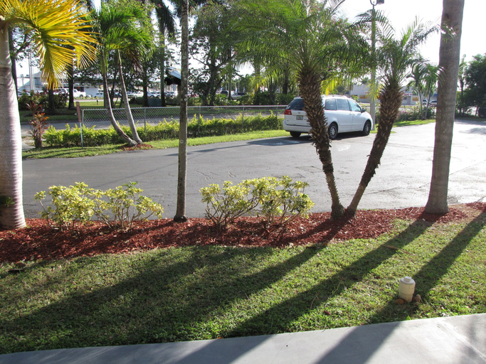 Others 4, A-1 Budget Motel, Miami-Dade