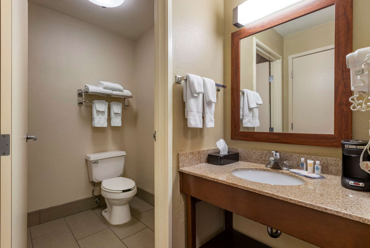 Bathroom 4, Comfort Inn & Suites Waterloo - Cedar Falls, Black Hawk