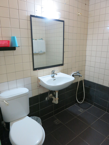 Bathroom 2, Reui Cheng Hotel, Kaohsiung