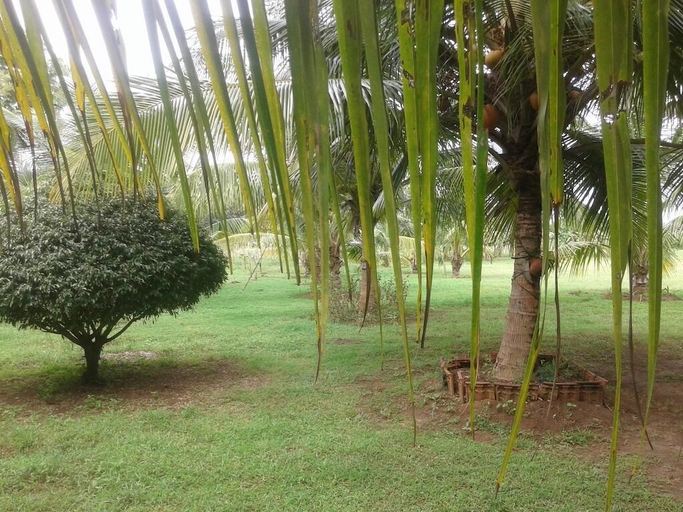 Others 4, Suwanila Rest, Dambulla