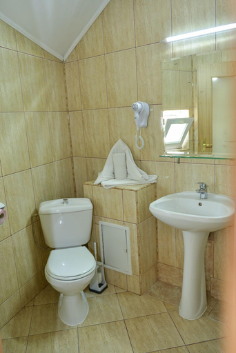 Bathroom 3, Pensiunea Kronstadt, Brasov