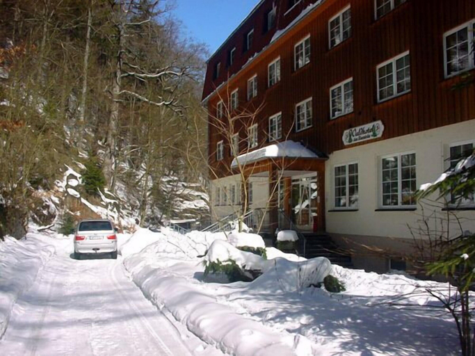 Exterior & Views 2, Waldhotel Am Ilsestein, Harz