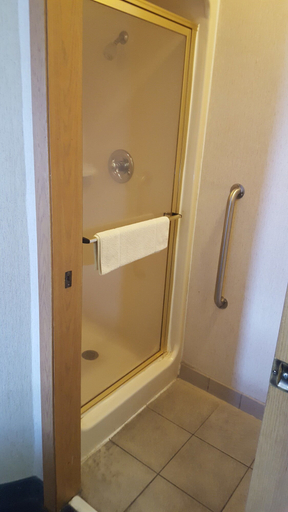 Bathroom 4, Sleep Inn University, Dona Ana