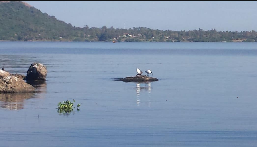 Others 3, El´molo Crocodile Park and Lodge, Bondo