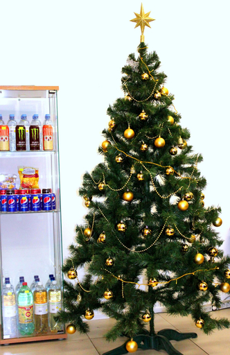 Food & Drinks 5, Hostel Moskow Ru, North-Eastern