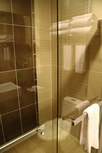 Bathroom 5, Hotel Las Cascadas, San Pedro Sula