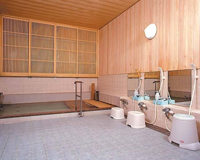 Bathroom, Sugadairakogen Onsen Hotel, Ueda