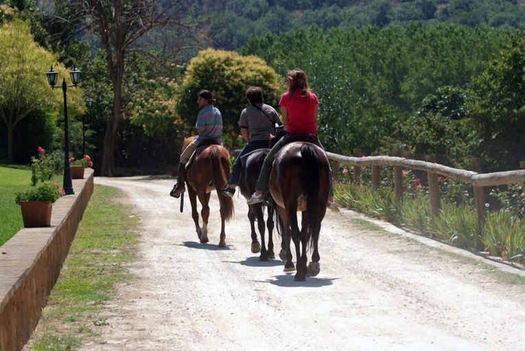 Others 4, Agriturismo Savoca, Enna