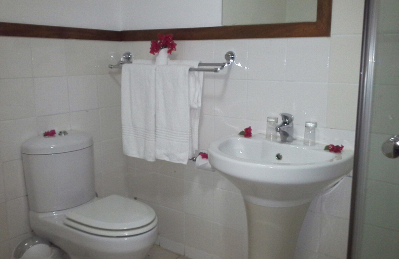 Bathroom, The Big 5 Chobe Lodge, Chobe