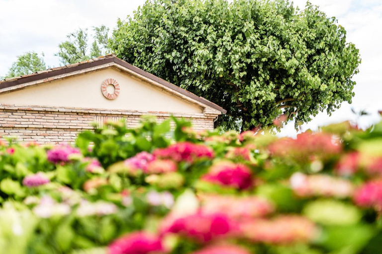 Exterior & Views 2, Poggio Antico - Suites and Breakfast, Ancona