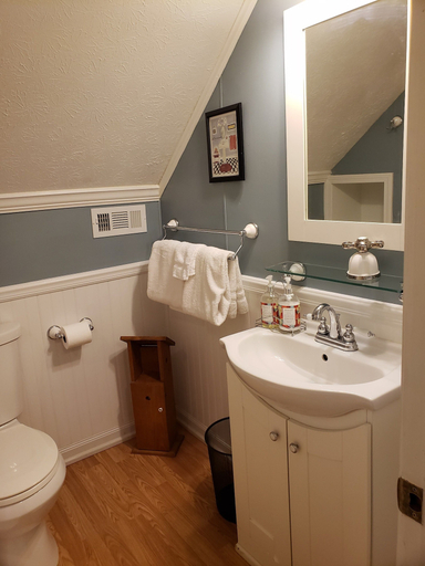Bathroom 3, Blue Ridge Manor B&B, Carroll
