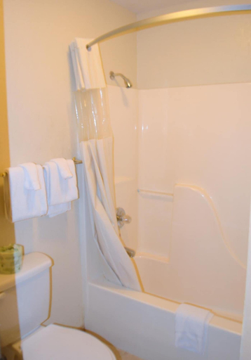 Bathroom 4, Night Inn, Saline