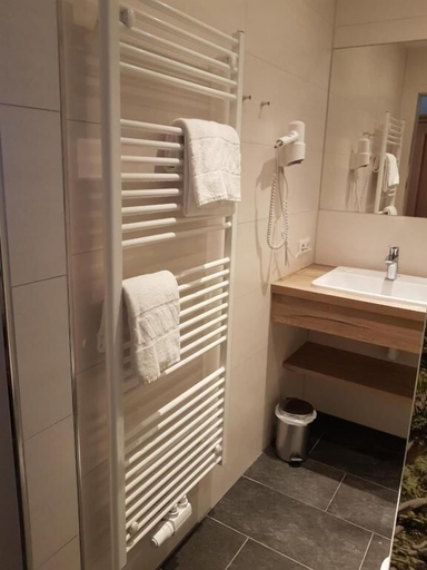 Bathroom 3, Hotel Restaurant Pariente, Liezen