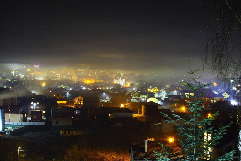 Others 5, FAVAR Carpathians, Drohobyts'kyi