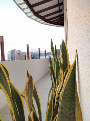 Exterior & Views, The Residence, Thimbirigasyaya