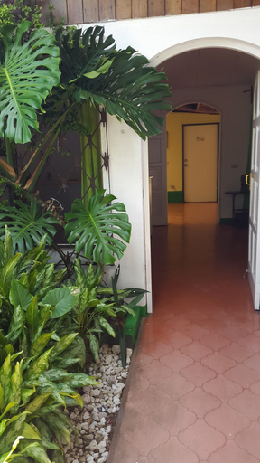 Exterior & Views, Hotel Sueños del Angel, Managua