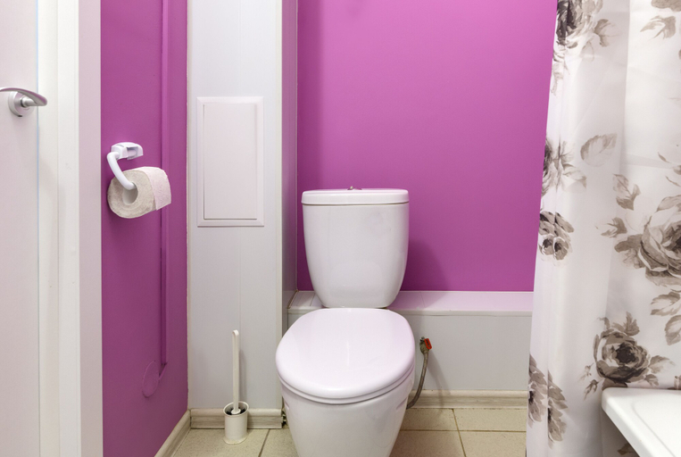Bathroom 4, Apartments Domotelli Parnas, Sankt-Peterburg gorsovet