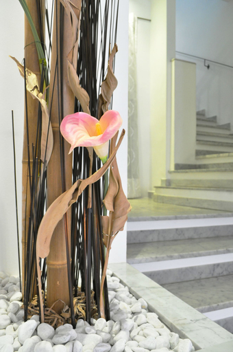 Others 5, Hotel Twenty Nine, Genova