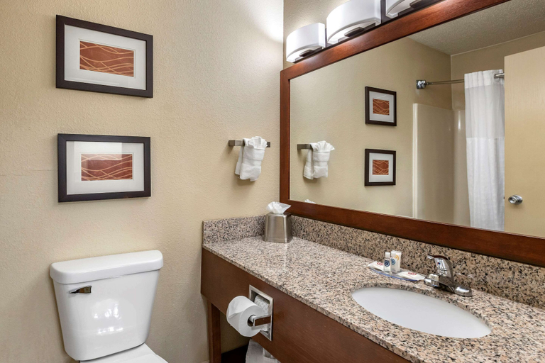 Bathroom 4, Comfort Inn Moline - Quad Cities, Rock Island