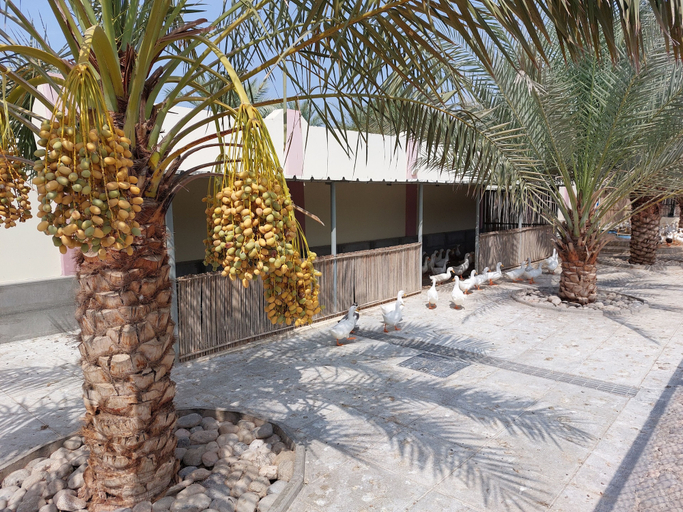 Exterior & Views 2, Asahalah Farm Villas, Barka