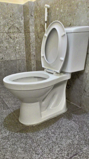 Bathroom, Emperor's Suites, Silang