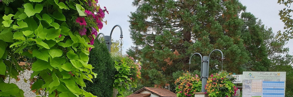Camping Moulin du Roy, Haute-Garonne