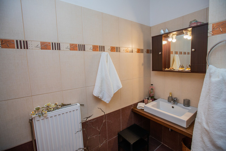 Bathroom 4, Elisso Apartment, Ionian Islands