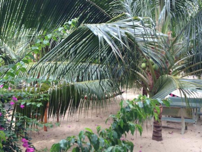 Others 5, Cocosand Hotel, Phan Thiết