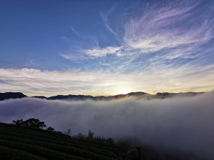 Others 5, Alishan Tea Garden, Chiayi County