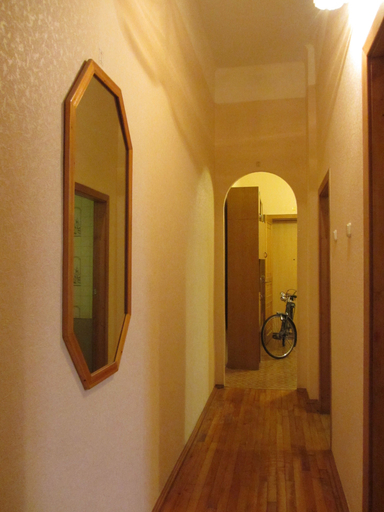 Others 5, Old Flat Apartments on Belinskogo, Sankt-Peterburg gorsovet