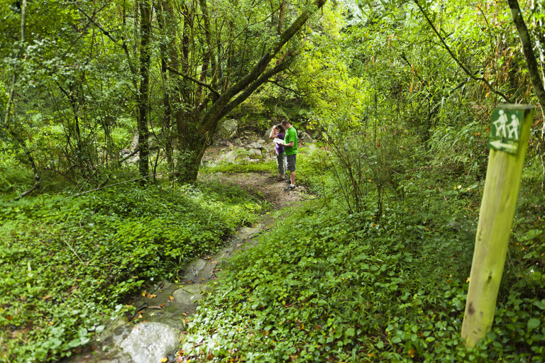 Others 5, Rockwood Lodges, Umgungundlovu