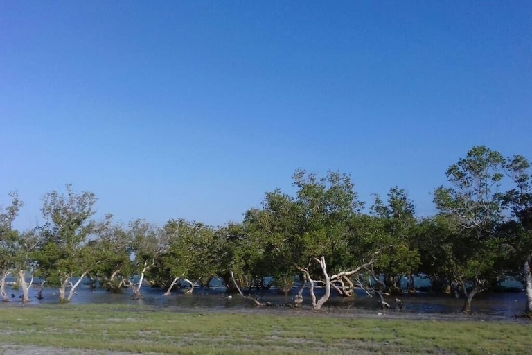 Others 5, Eagle Camp Mida Creek, Kilifi North
