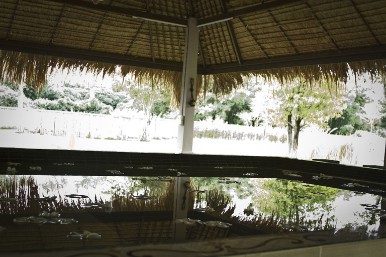 Sport & Beauty 5, Calvary Home, Mae Rim