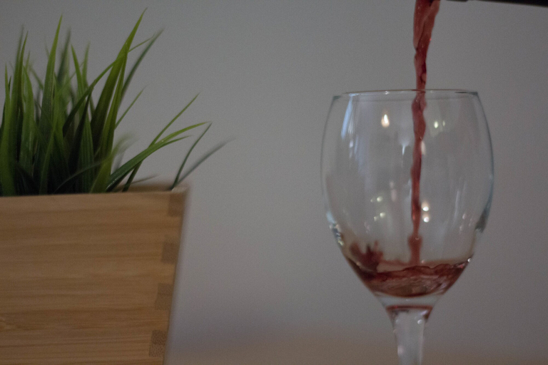 Food & Drinks, tuGuest Apartment Realejo, Granada