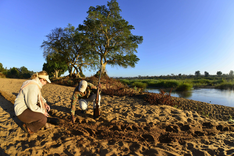 Others 4, Mtomeni Safari Camp, Mopani
