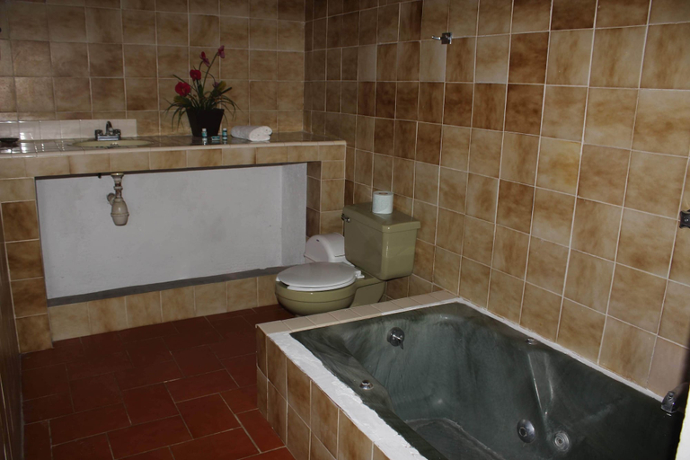 Bathroom, Agua Turquesa - Totolapan Morelos, Tlalnepantla